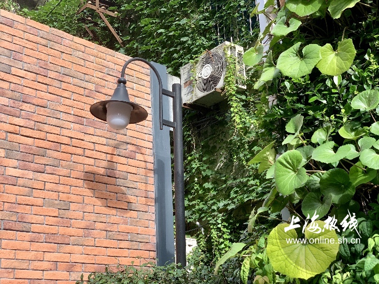 魔都100：藏在静安市中心最袖珍的公园重温老上海的儿时记忆