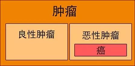一分钟看懂癌症风险,十大必知的癌症冷知识