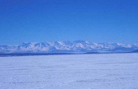 今日诗词原文及翻译,今日诗词原文及译文