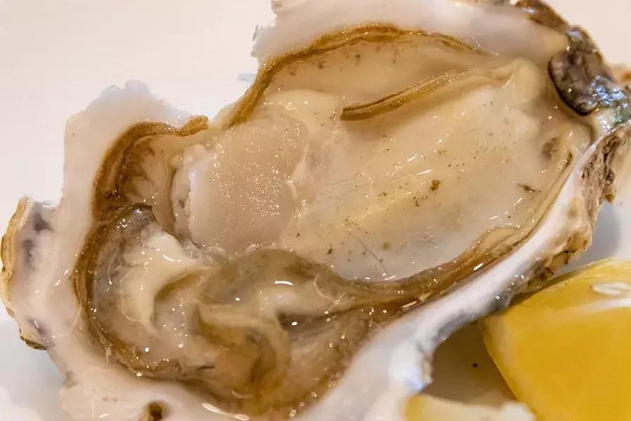 魔都海鲜自助餐厅排名,魔都周浦海鲜自助