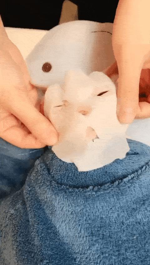 据说最近喵圈流行敷面膜，铲屎官请准备