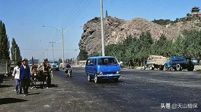 上榜啦！*疆新**鸟市和石市即将被国家命名！未来发展不可估量