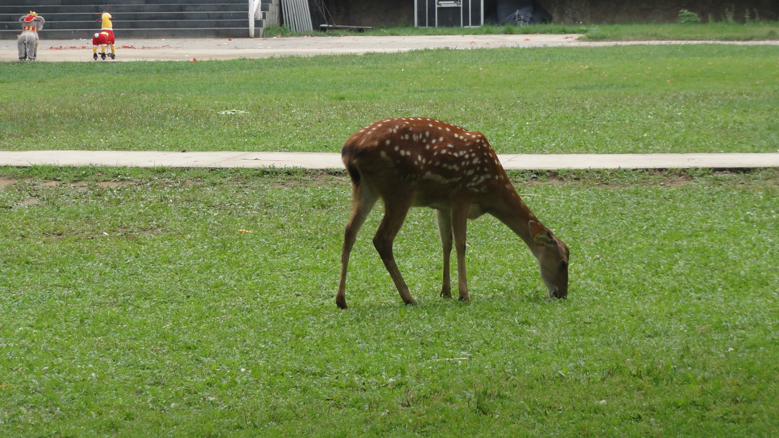 今天唐人介绍一下自己的家乡，包头市又名“鹿城”