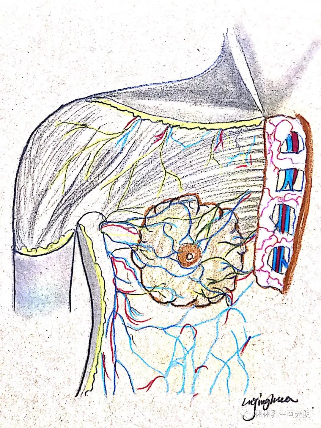 最贵的房子内部图片,最贵的房子内部