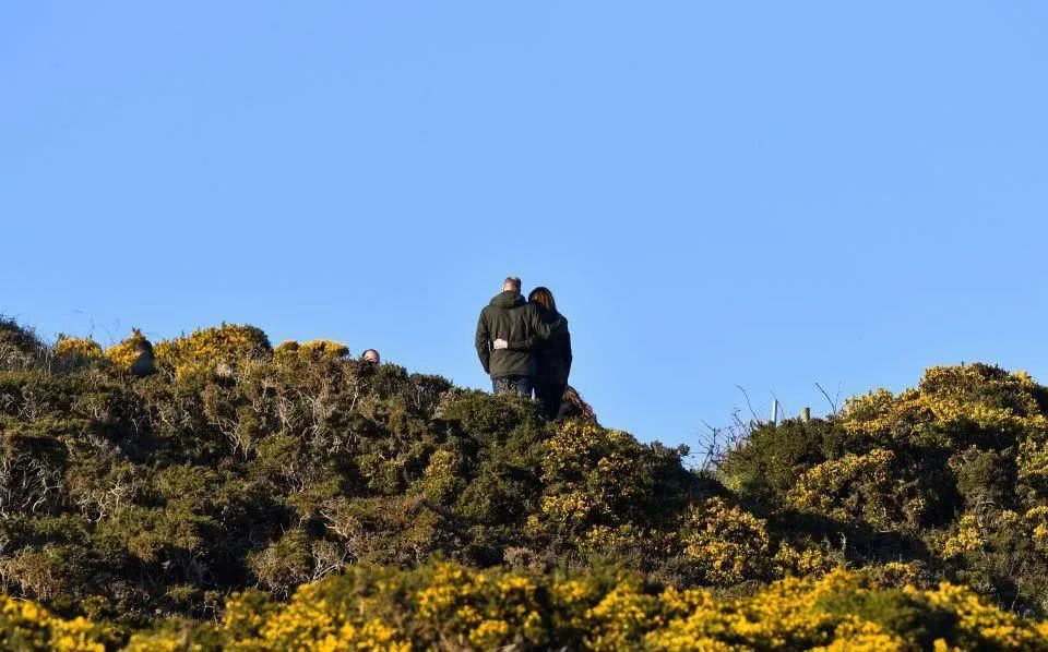 凯特王妃穿一身绿，让她放飞自我的岛国居然比重庆市还小