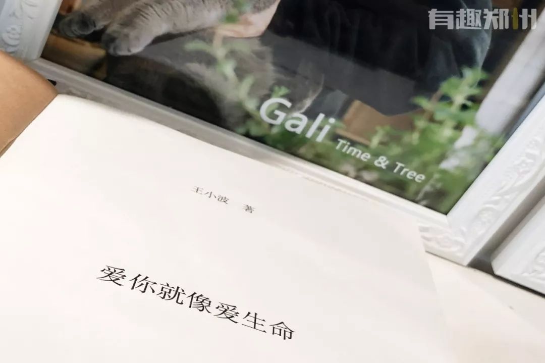 元旦快乐简单又好看的礼物,元旦节简单又好玩的礼物