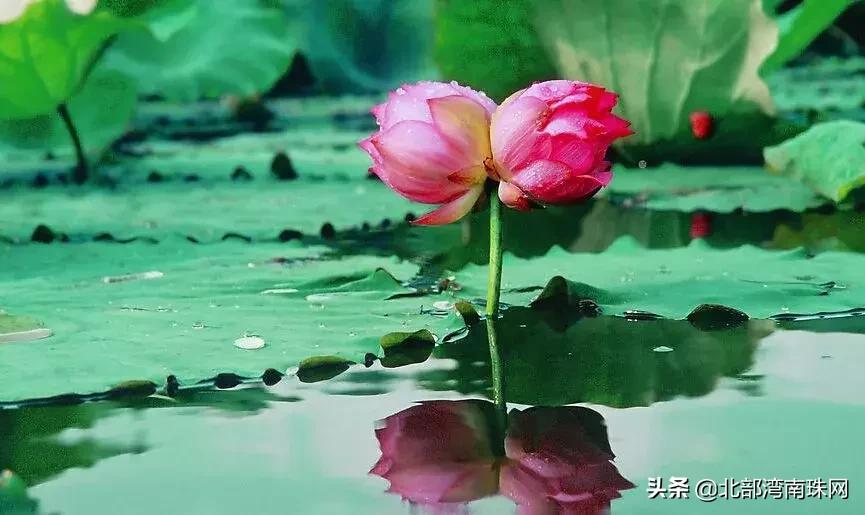 北部湾城市图片,北部湾城市照片