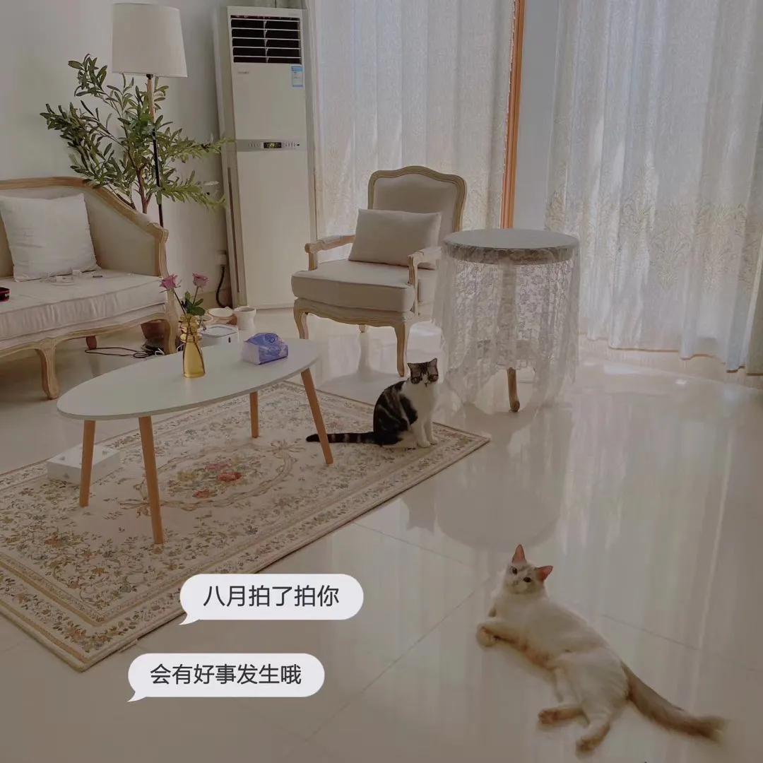 一个被裁员的逆袭故事,从被裁员到创业成功赚到第一桶金