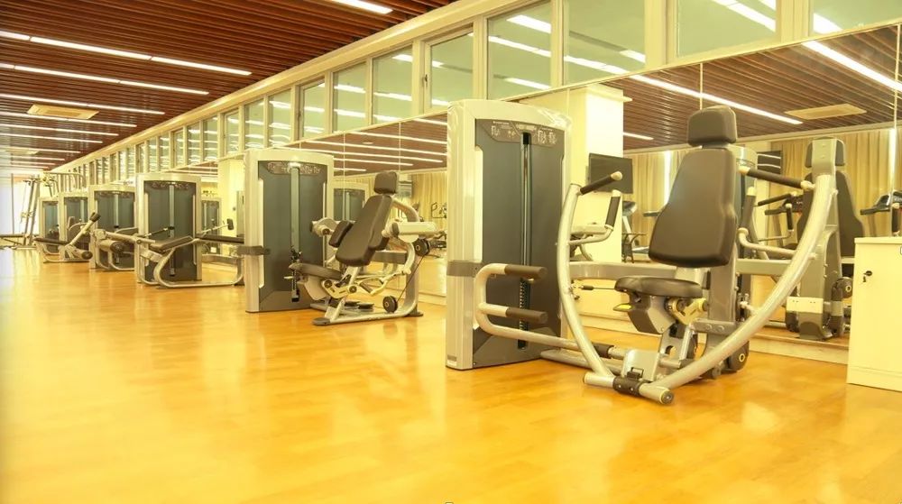 游学冬令营2024,游学冬令营活动