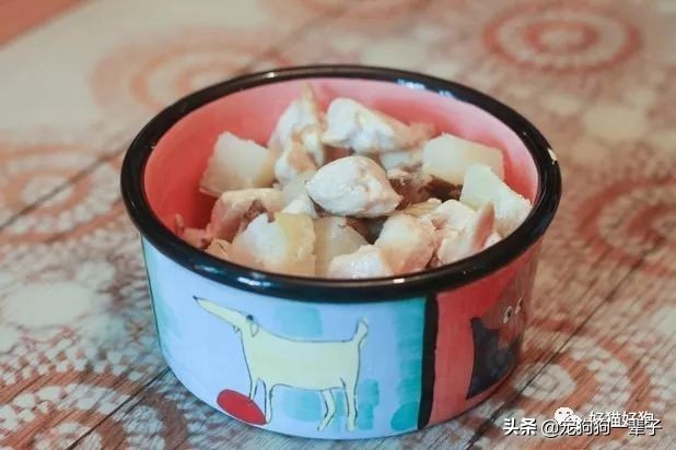 狗狗缺磷钙,狗狗最佳钙磷比