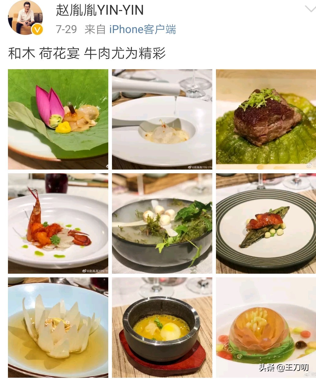 陈数赵胤胤近照,陈数赵胤胤怎么读