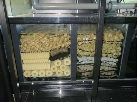 陶瓷环细菌球可以直接放鱼缸里吗,细菌屋陶瓷环直接放鱼缸里可以吗