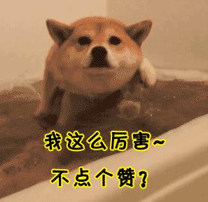 生活用语英语常用口语900句,游泳英语词汇