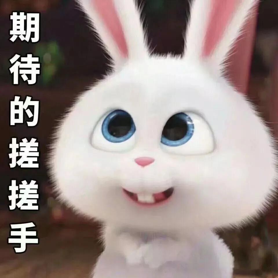 龙文最近招聘信息,龙文区国企招聘最近