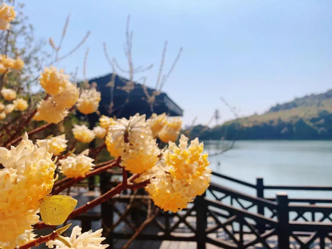 鑻忓窞澶у鏂囨瀛﹂櫌浠嬬粛,鑻忓窞澶у鏂囨瀛﹂櫌鍥剧墖