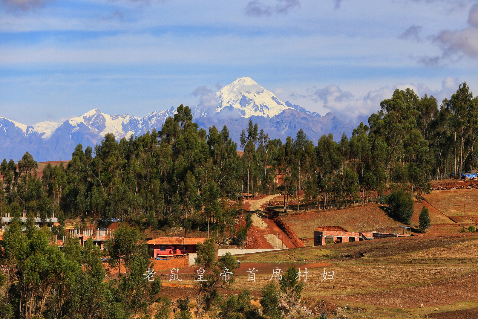 南美千年印加古镇,妇女掌握独门神技:用仙人掌真菌做口红