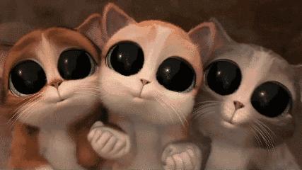 追觅扫拖地机器人测评,扫地拖地全套