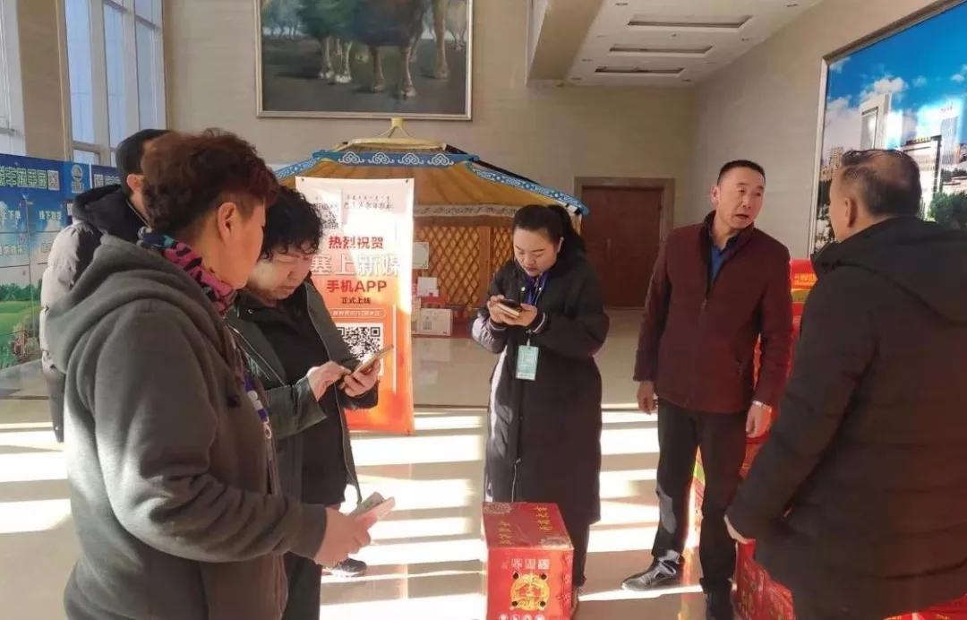 巴彦淖尔滞销梨,巴彦淖尔梨