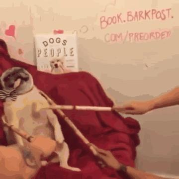 工科就业前景最好的十大专业排名,就业率最差的十个专业