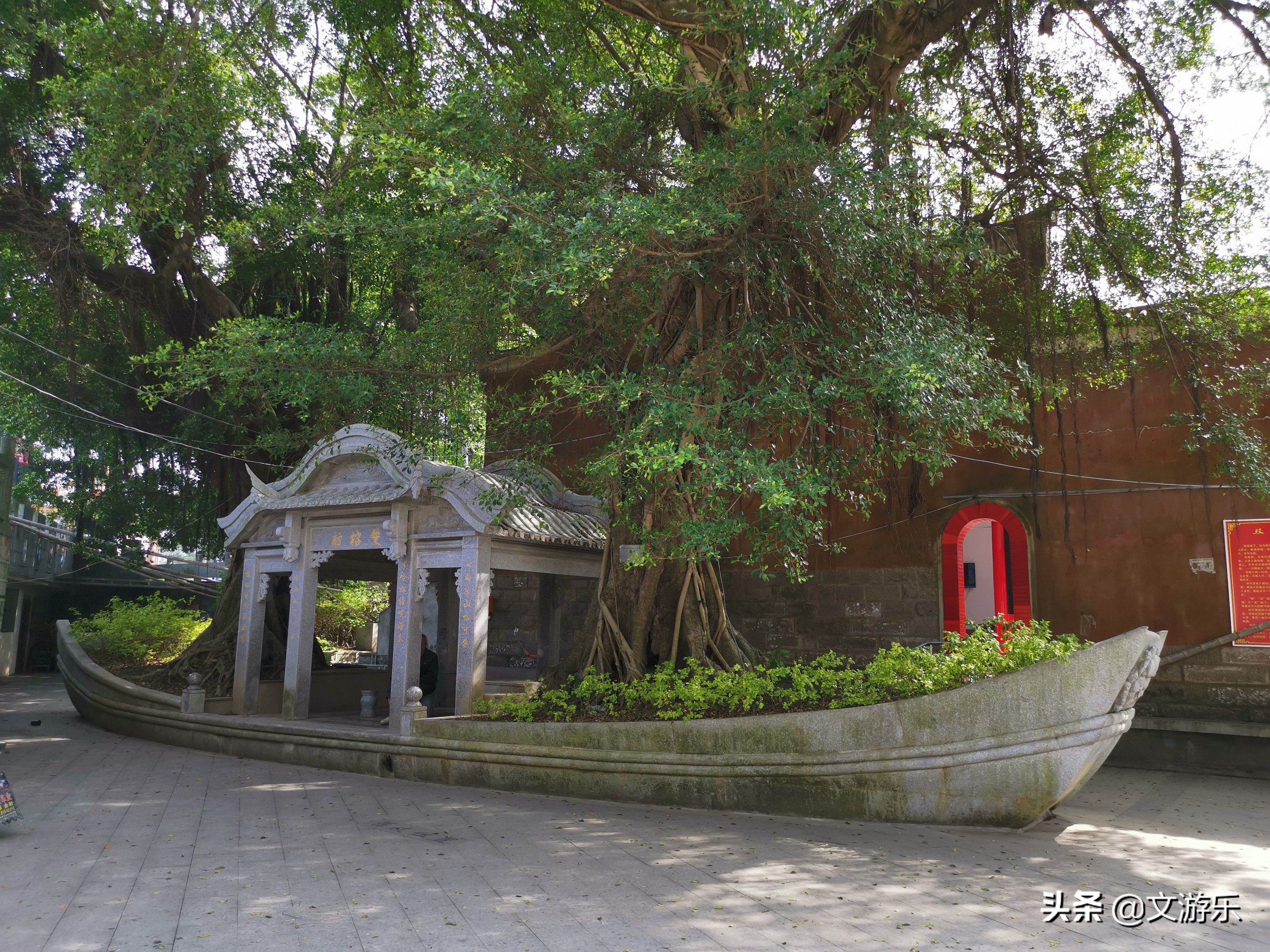 马尾有什么涵义,马尾是鬃毛吗