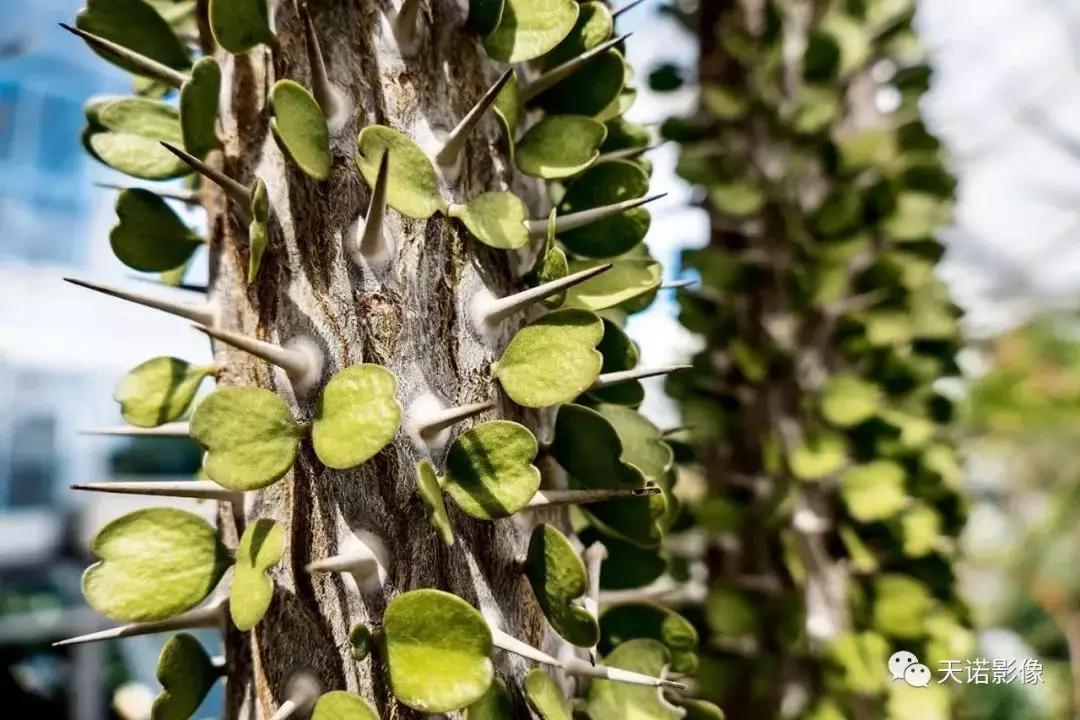 徕卡v-lux5换镜头,徕卡v-lux5值得拥有吗