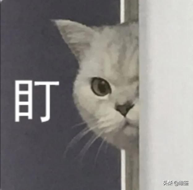 淘宝已被限制购买商品,淘宝本店已经被限制购买