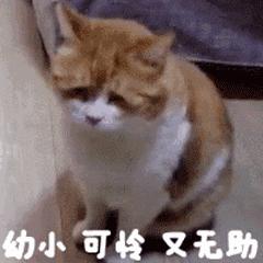 百度贴吧恢复自己删的帖,为什么百度贴吧发的帖容易被删