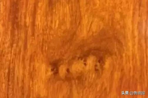 花梨木有哪几种木材,花梨木的十种鉴别方法