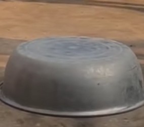 乡村那些年，我曾养过两只刺猬，却接连神秘消失……