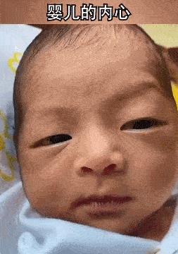 看了整整七分钟，他们最终还是上去了