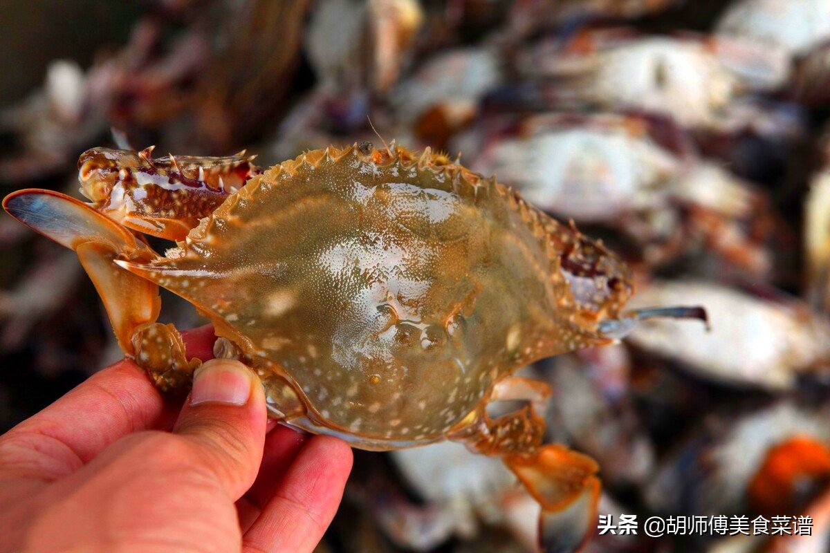 买螃蟹怎么挑是肥的,买螃蟹的时候怎么挑选肥的