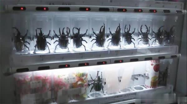 全球最先进的自动售货机,盘点那些奇异的自动售货机