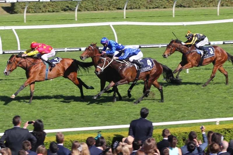 直播卖马，说来就来！世界首次，两天卖3亿！900万天价马中国卖出