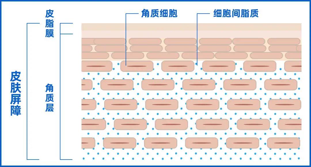 90%的肌肤问题都是皮肤缺水,100个皮肤问题