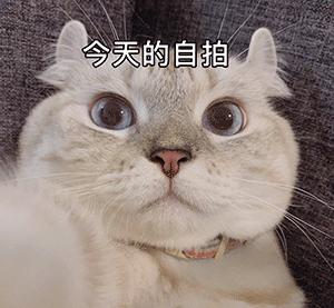 十年老HR：我看不懂现在的简历了