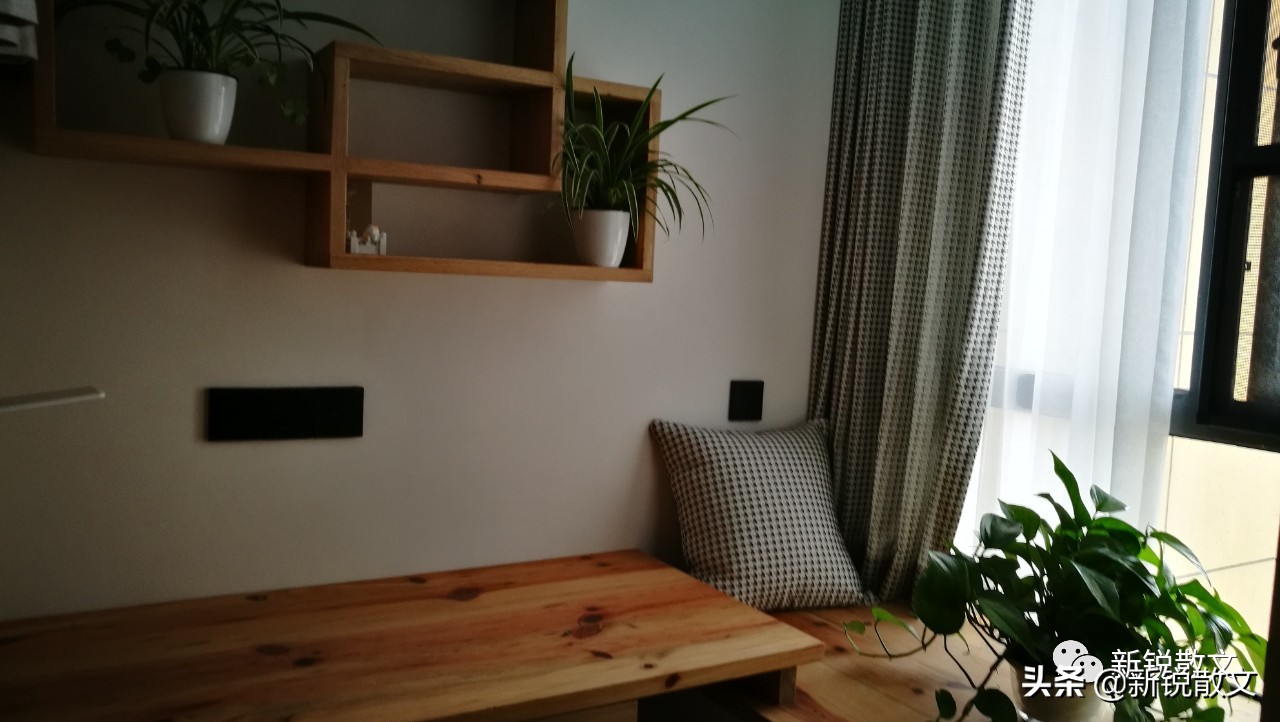 几十平的小生意,几十平米小房子