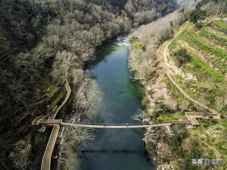 菜吧农庄创意设计,菜吧生态园规划