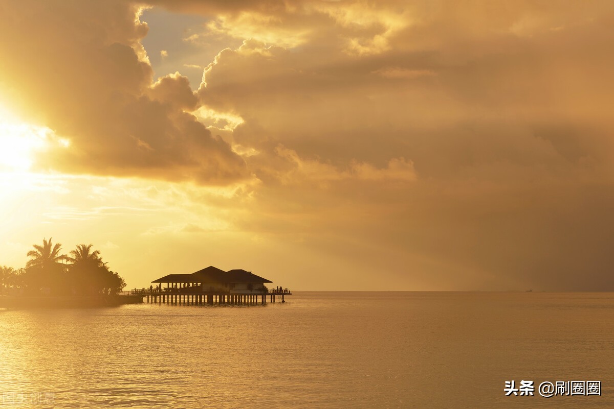 六年级作文一单元变形记范文,六上第一单元作文变形记优秀范文