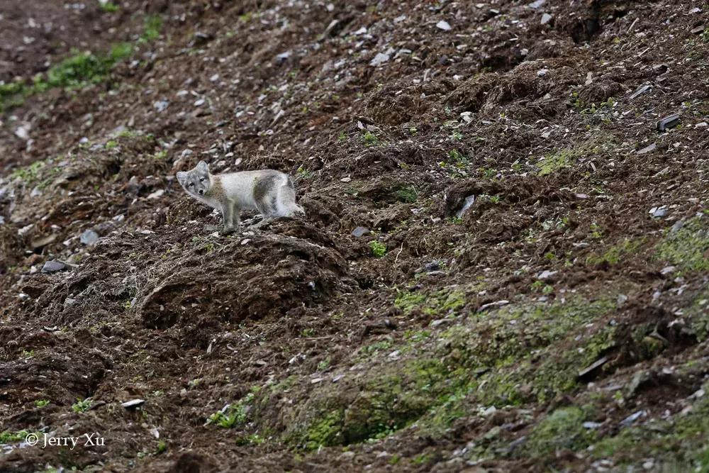 一组国际摄影大赛获奖作品速览,震撼心灵的45张摄影金奖照片珍藏