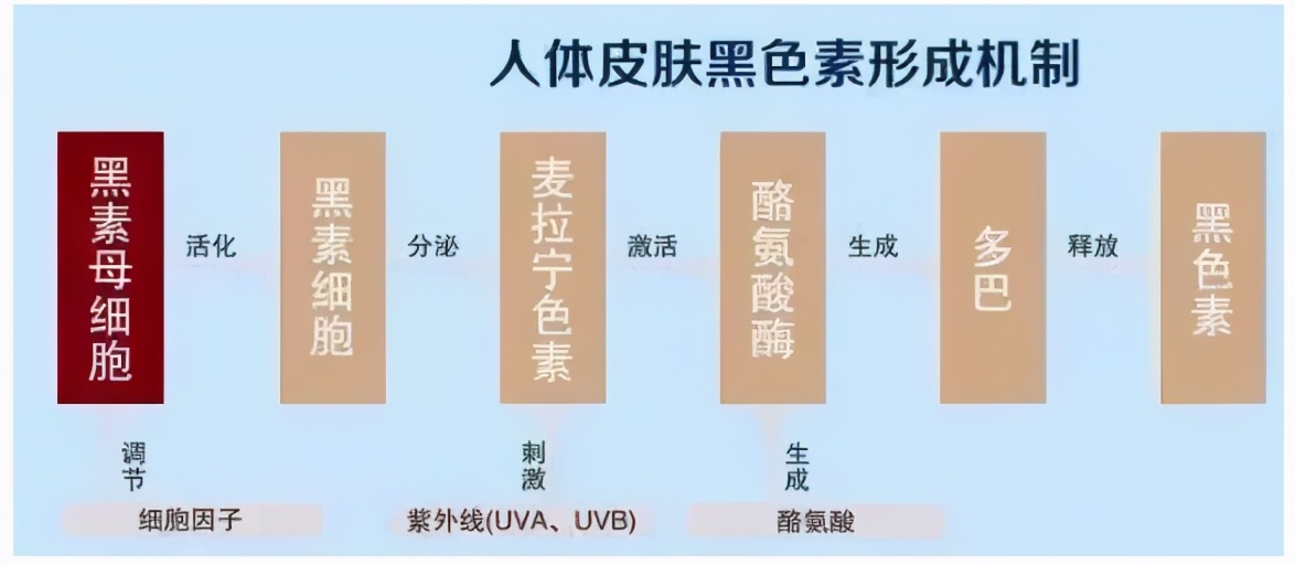抖音美白丸真的能美白吗,深扒网红美白丸