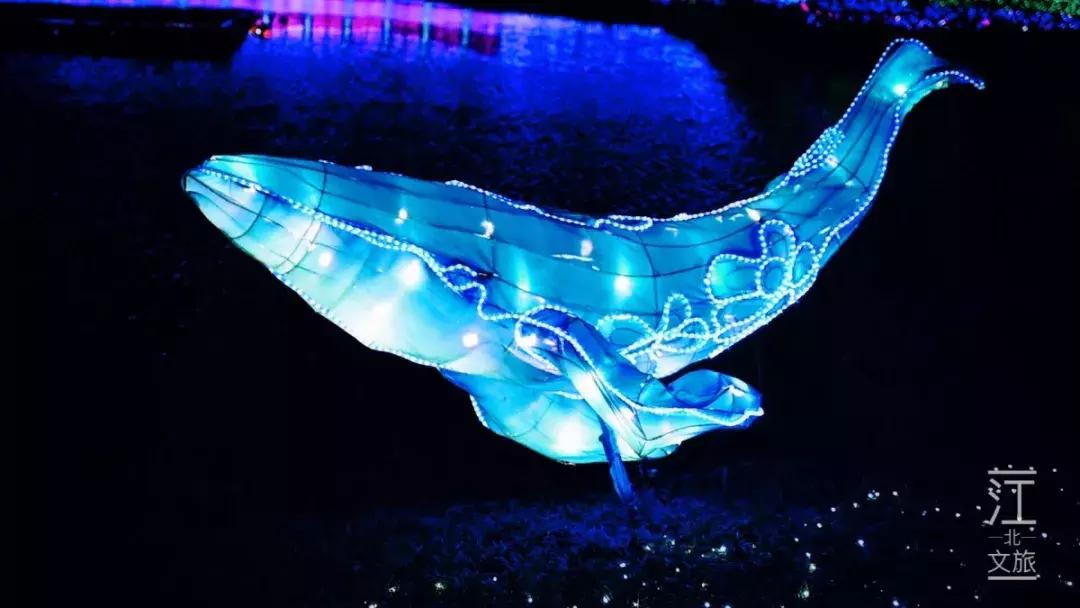 宁波醉美海湾,宁波夜游打卡的好地方