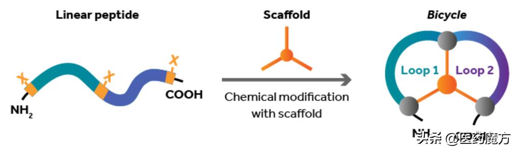 黄保华点评|首个PDC药物撤市，其实是个美丽的误会
