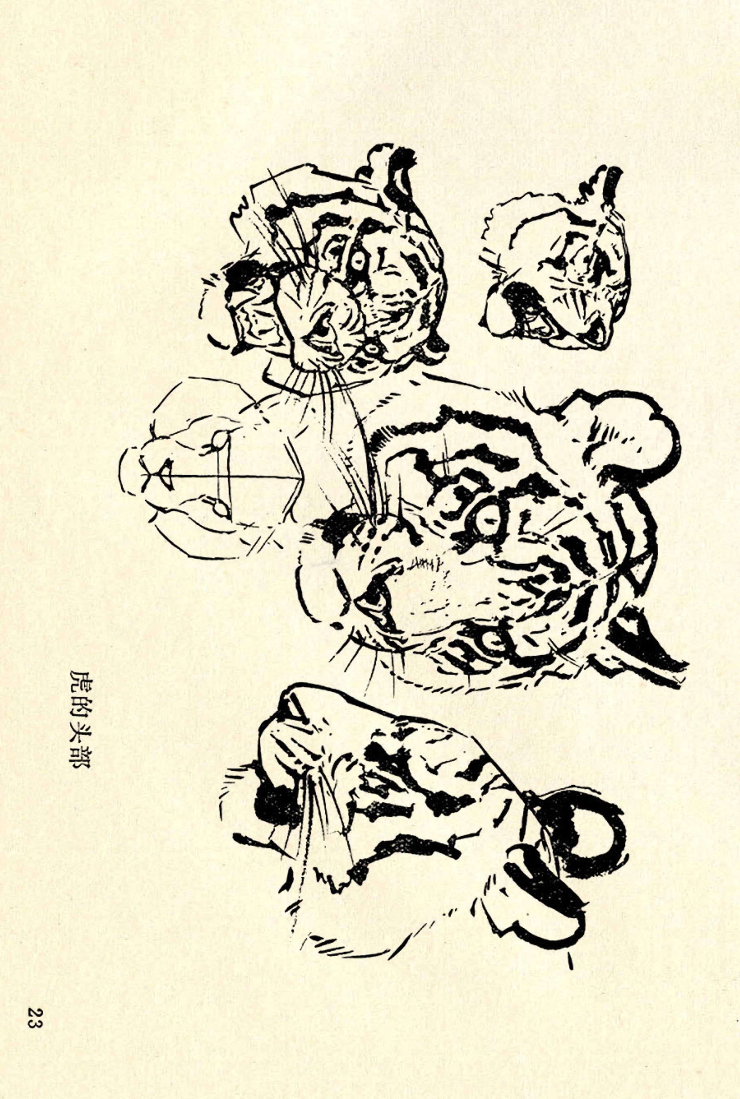 刘继卣画的学习方法,刘继卣动物插画