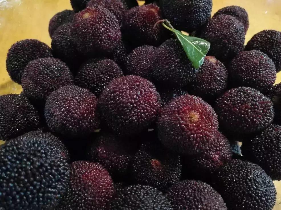 盐水泡了杨梅泡了半个小时没有虫,用什么泡杨梅能出来小白虫