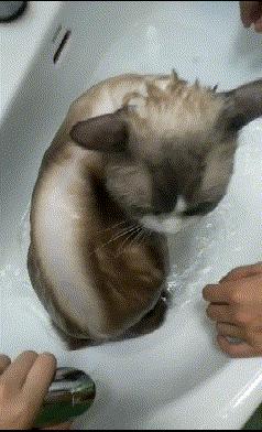 为啥加油站月薪两千还没人辞职,加油站上班工作强度大吗累吗