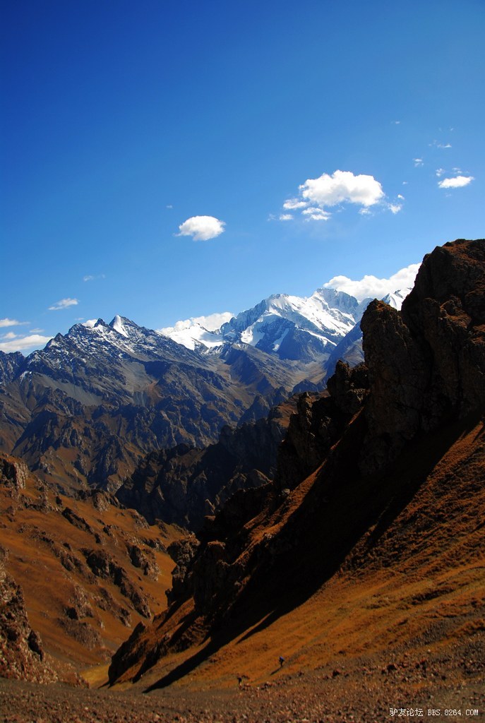 狼c调简谱教唱,狼c