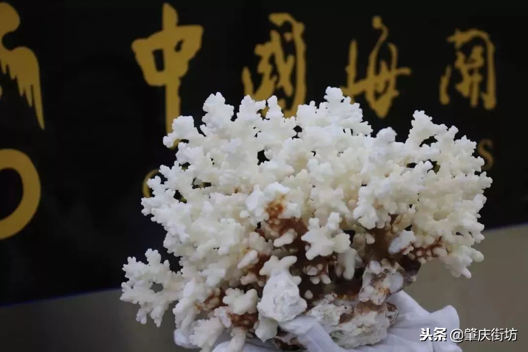 现在去港澳需要备什么生活用品,准备去港澳旅游的注意事项