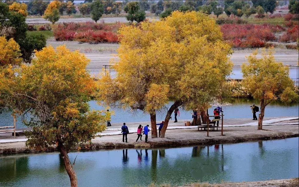 北疆的美完整版,北疆的景最美