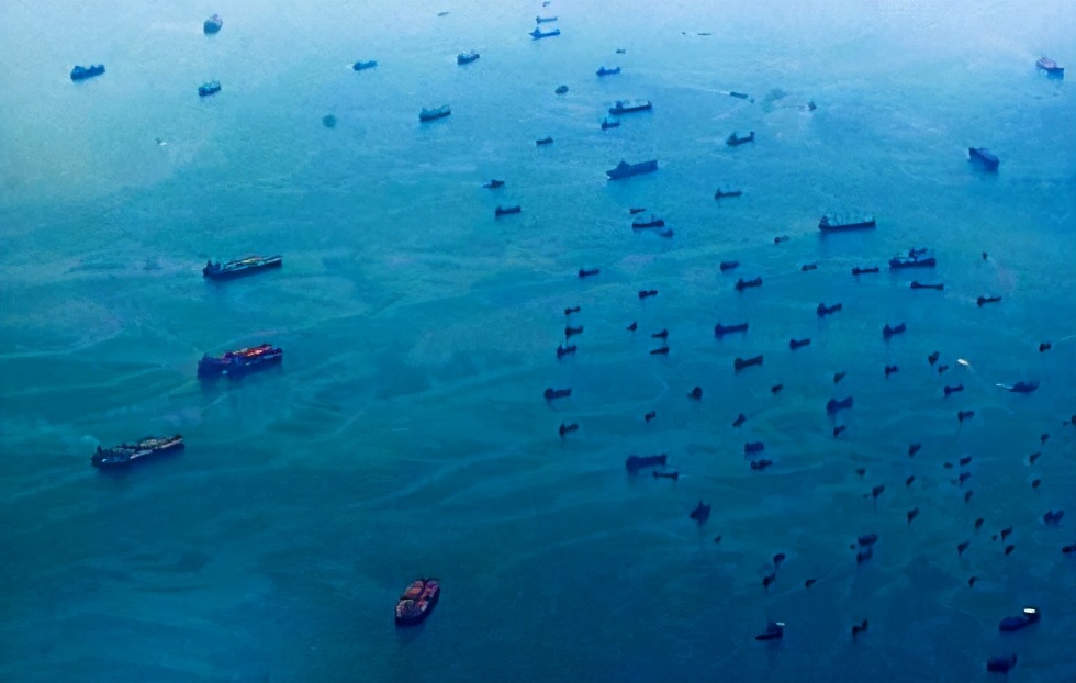 世界十大生物未解之谜,未解之谜奇闻异事神秘生物