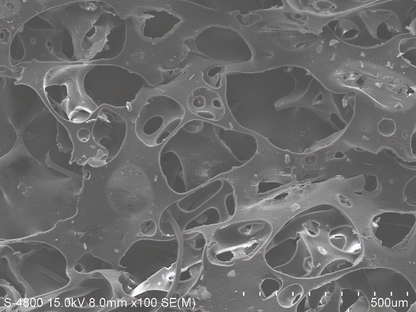 乳胶枕该怎样正确选择,让你了解更多乳胶枕知识